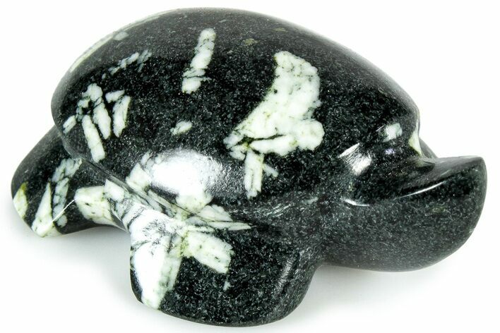 Carved Chinese Writing Rock Turtle - Australia #308498